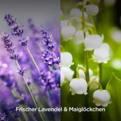 Airwick Raumduft Duftspray, 237 Ml, Geruchsneutralisierend, Lavendel & Maiglöckchen 12 Airwick Raumduft Duftspray, 237 Ml, Geruchsneutralisierend, Lavendel & Maiglöckchen -Küche Fach Geschäft 0bcfc7788d6365d46cb9ed0ed7beddc3442c879e raumduft airwick duftspray 237 ml