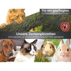 InstrumenteNRW Zeckenentferner PI-BB-052, Zeckenzange, Aus Edelstahl, Mit Haltebügel, Silber -Küche Fach Geschäft 4754d21f3ea9e5a64ac8625fe281a586b6684d82 zeckenentferner instrumentenrw pi bb 052