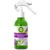 Airwick Raumduft Duftspray, 237 Ml, Geruchsneutralisierend, Lavendel & Maiglöckchen -Küche Fach Geschäft 4c9aeb3d8dd789d1f5fa2dc765dddcce308f233a raumduft airwick duftspray 237 ml