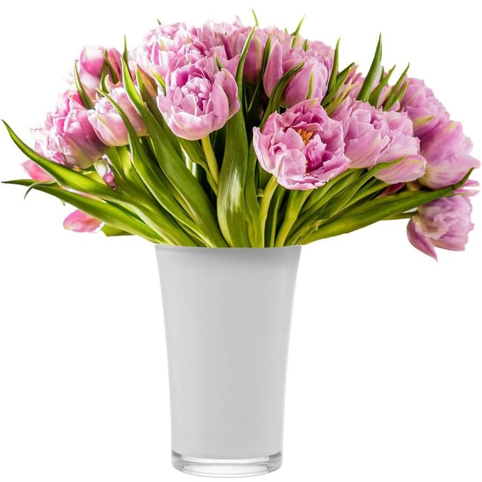 Leonardo Vase 073752 Bloom, Glas, Weiß, Tischvase, Konisch, Höhe 21 Cm 4 Leonardo Vase 073752 Bloom, Glas, Weiß, Tischvase, Konisch, Höhe 21 Cm – Bild 2