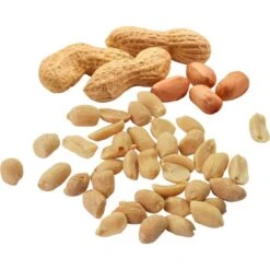 Erdnüsse Hellma Je 25g, 100 Beutel 10 Erdnüsse Hellma Je 25g, 100 Beutel -Küche Fach Geschäft 7e9bebdf7987530ce1de173700556a06b615661f erdnuesse hellma