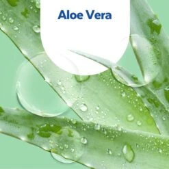 Sagrotan Seife Sanft Zur Haut, Aloe Vera, Flüssigseife, Nachfüllbeutel, 500ml -Küche Fach Geschäft 978b3cef80a2e6b233bc15be8bc02d1b37423575 seife sagrotan sanft zur haut aloe vera