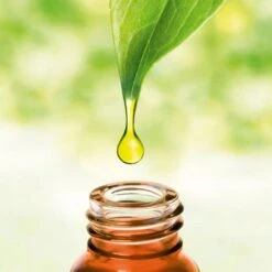 Primavera Duftöl Cajeput Extra, 100% Naturrein, 100% Wild, Für Duftlampen, 5 Ml 9 Primavera Duftöl Cajeput Extra, 100% Naturrein, 100% Wild, Für Duftlampen, 5 Ml -Küche Fach Geschäft f1e888e76ab94327e5aad9b7037752b2c1e5f8d1 duftoel primavera cajeput extra