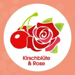 Sagrotan Seife Samt-Schaum Kirschblüte & Rose, Schaumseife, Pumpspender, Antibakteriell, 250ml -Küche Fach Geschäft fbcd7ba63e75518362fe6d6847ab528098c1aa44 seife sagrotan samt schaum kirschbluete und rose